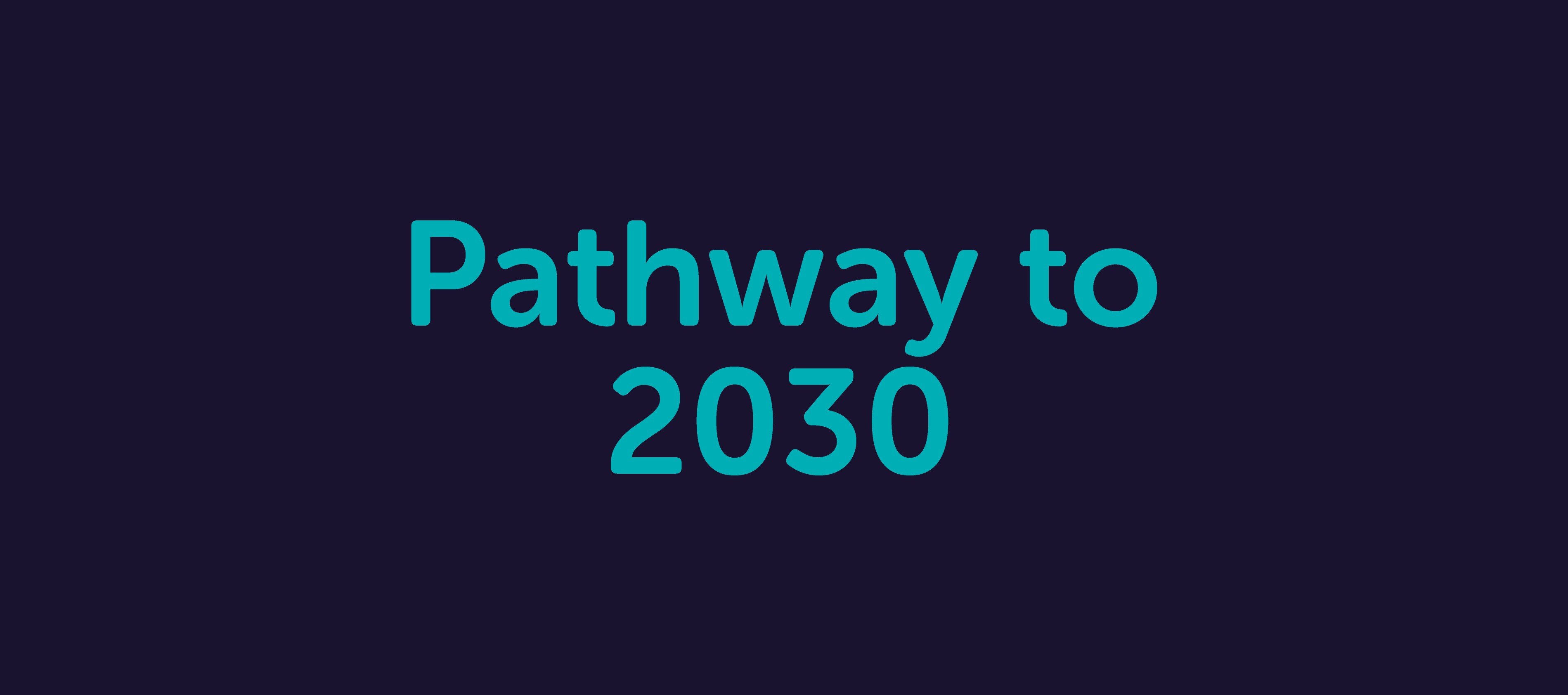 Pathway to 2030