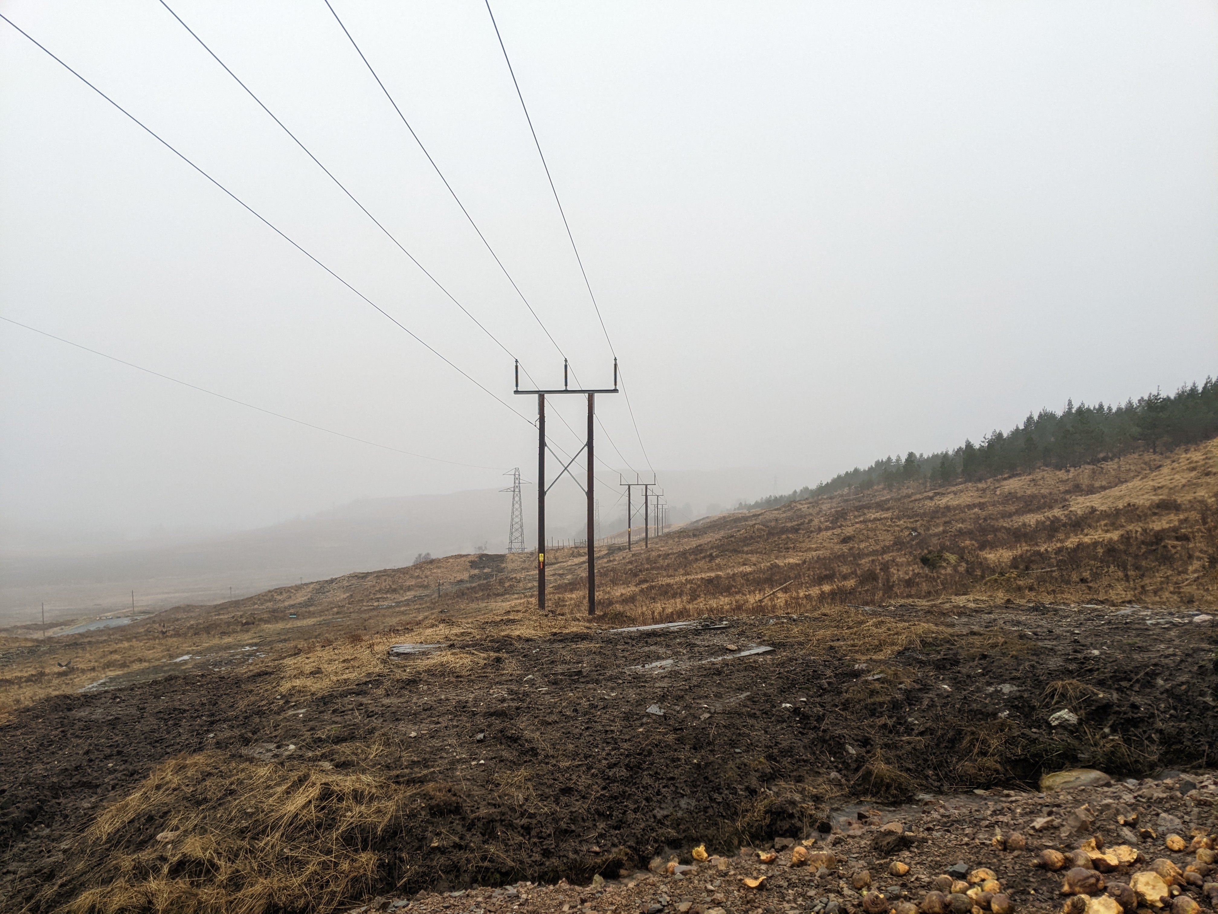 Trident woodpole transmission towers on a misty day.