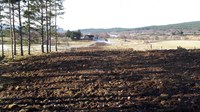 LT183-reinstatement-works-feb.jpg
