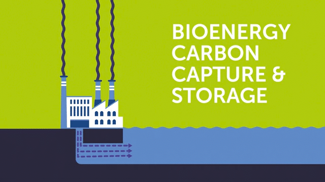 Bioenergy carbon capture