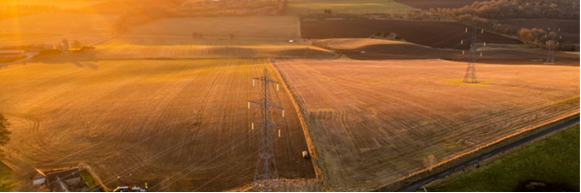 Powerlines on a field