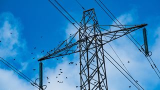 Birds sitting on an overhead powerline against a blue sky 