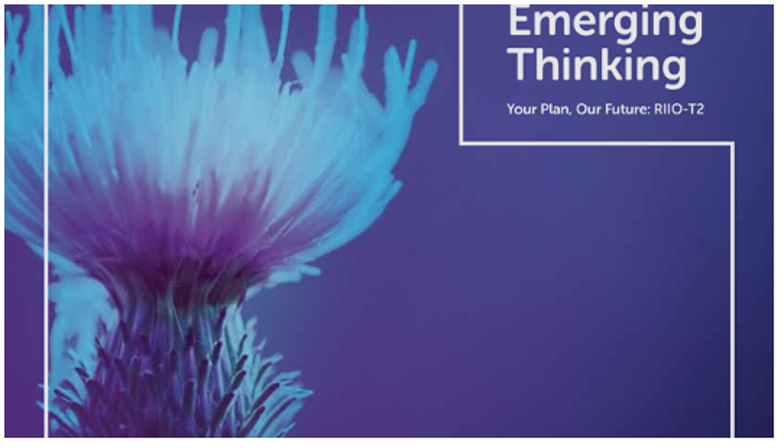 The text ”Emerging Thinking - Your plan, Our Future: RIIO –T2" with a flower in the background