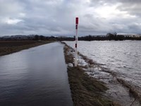 Road flooding turned into a river.