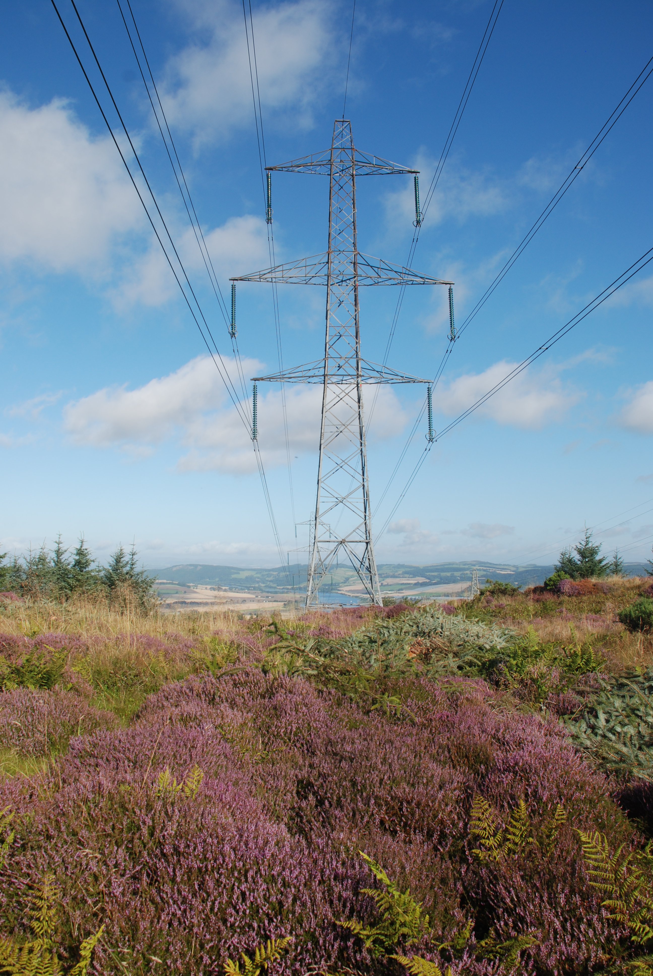 A metal transmission tower atop a vegetation covered rise.