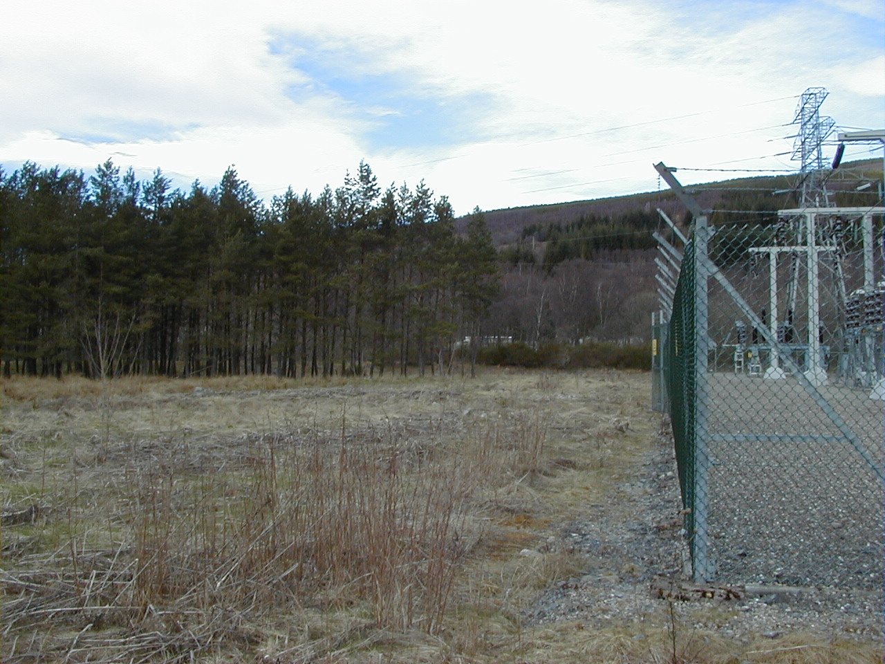 Woodland area surrounding site.