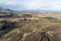 An aerial view of a slightly hilly area covered with fallen tree trunnks in rows, construction vehicles are present in the bottom right of the view.