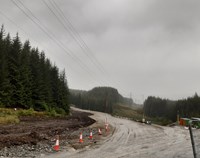 A gravel road surrounded by woodland.