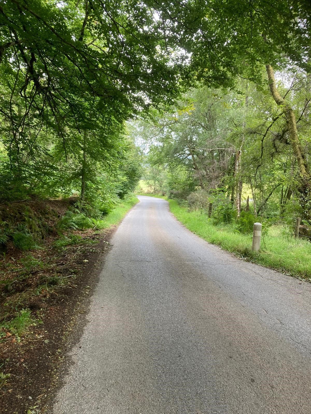 Road shown after debris has been cleared after storm.