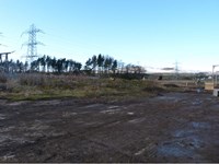 A cleared area of ground. Woodland and metal transmission towers are visible in the background.