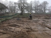 Two clusters of several thick cables emerging from the ground in a cleared area next to some trees.