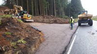 Contractors and construction vehicles on a road near woodland. A stack of logs are nearby.