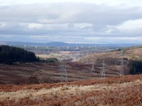 Several metal transmission towers forming a series of overhead lines.