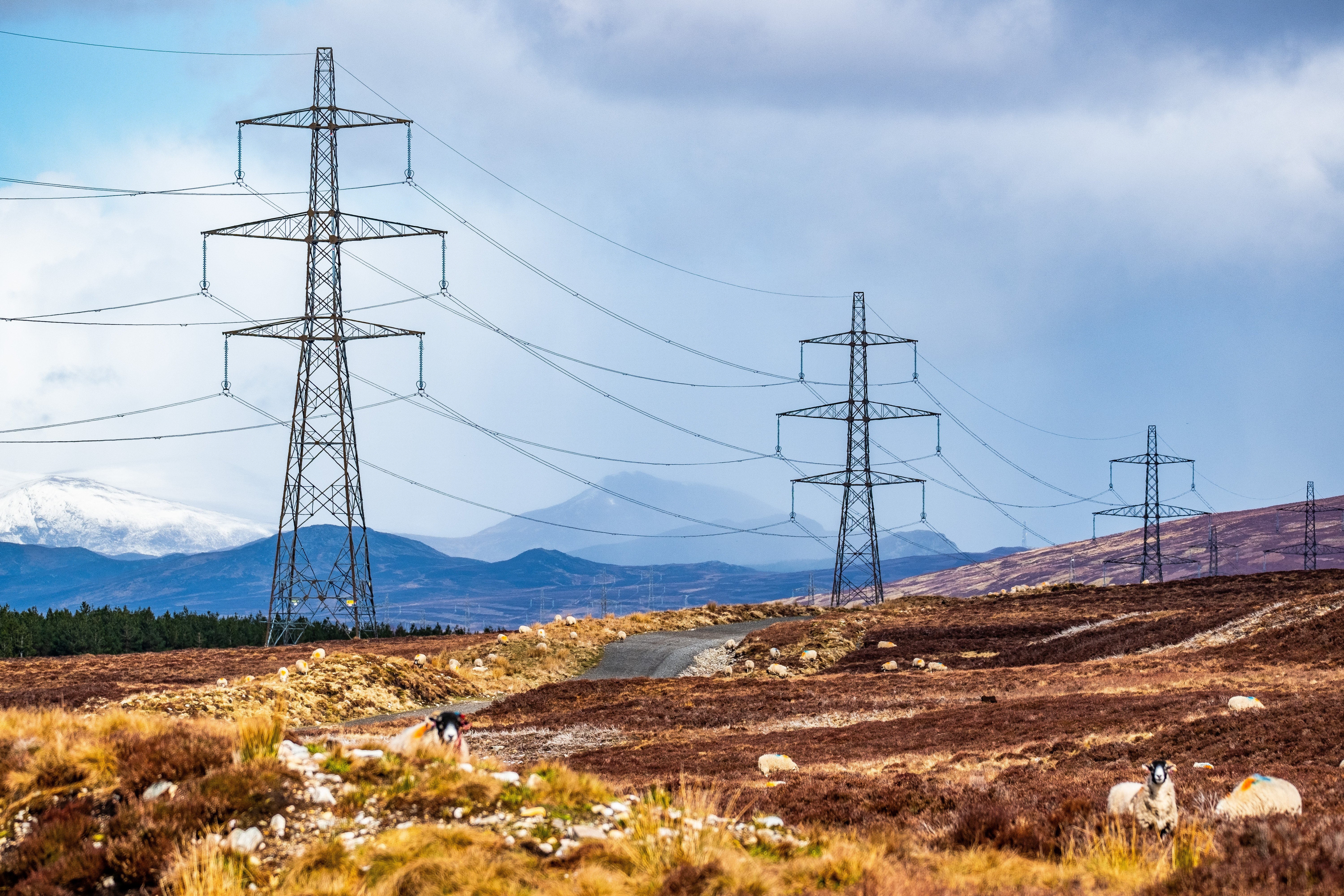 SSE_Transmission_Beauly_Denny_Power_Lines_450.jpg