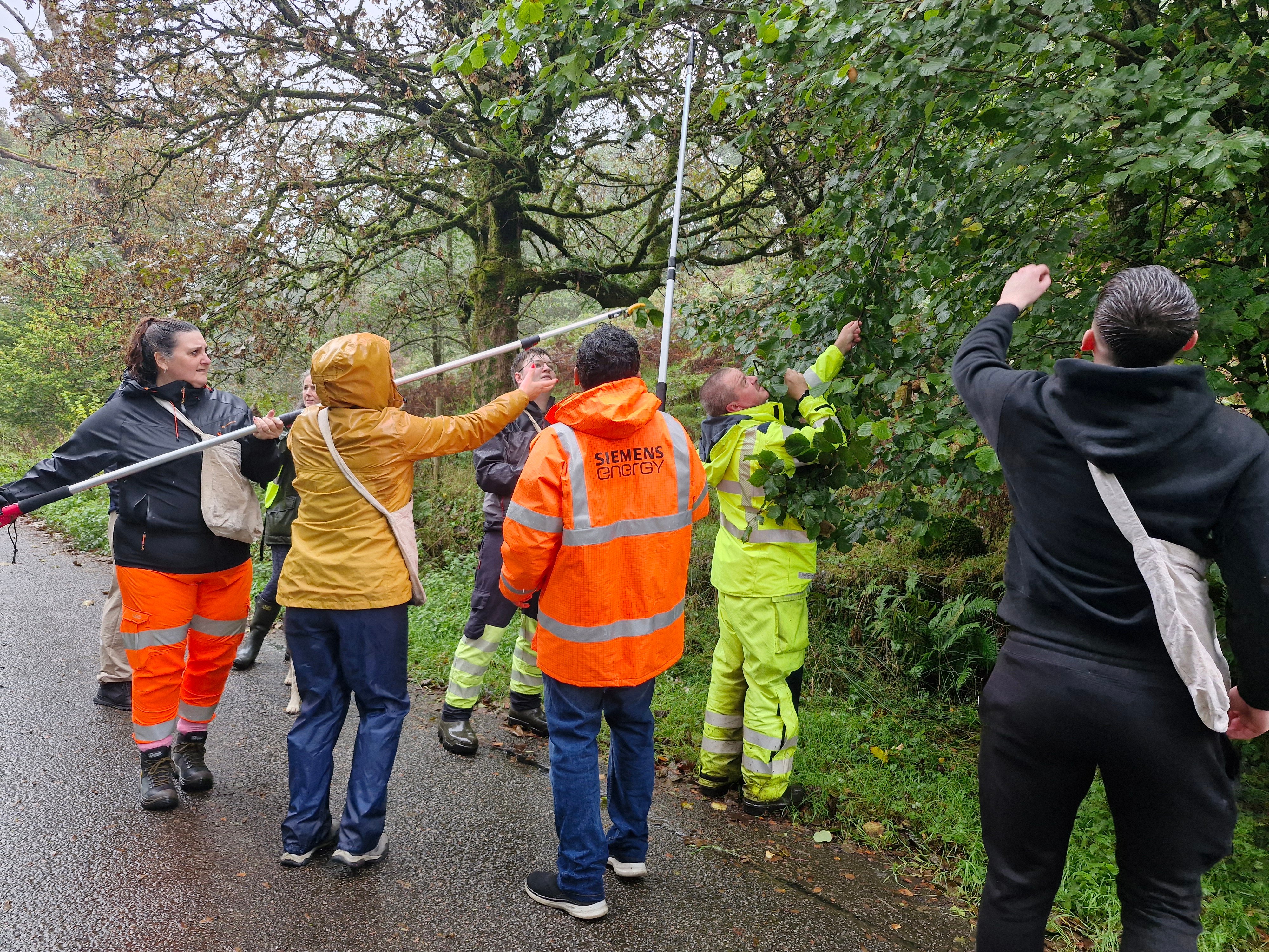 Native seed volunteering 2.jpg