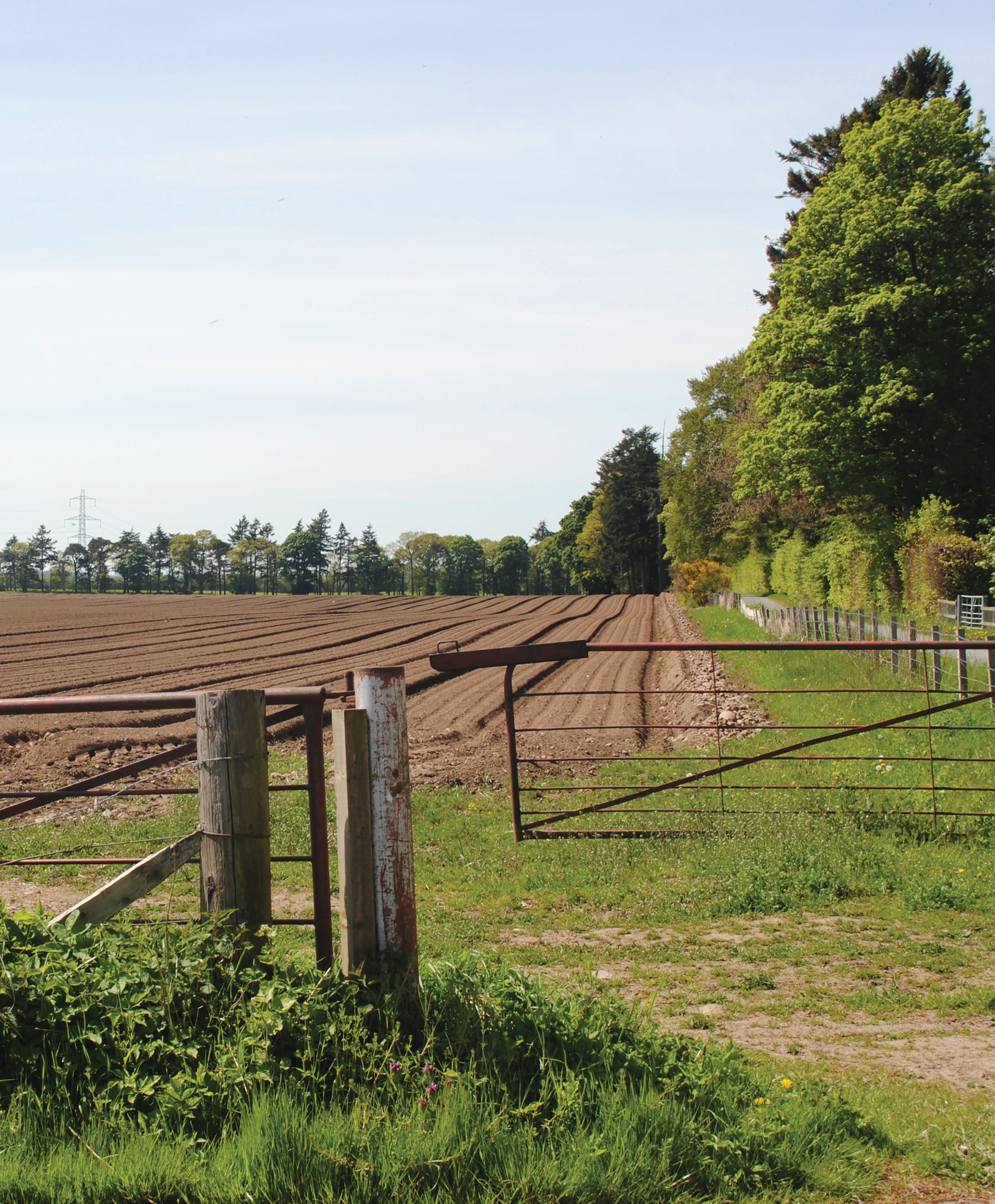 ssen-alyth-cover-crop.jpg