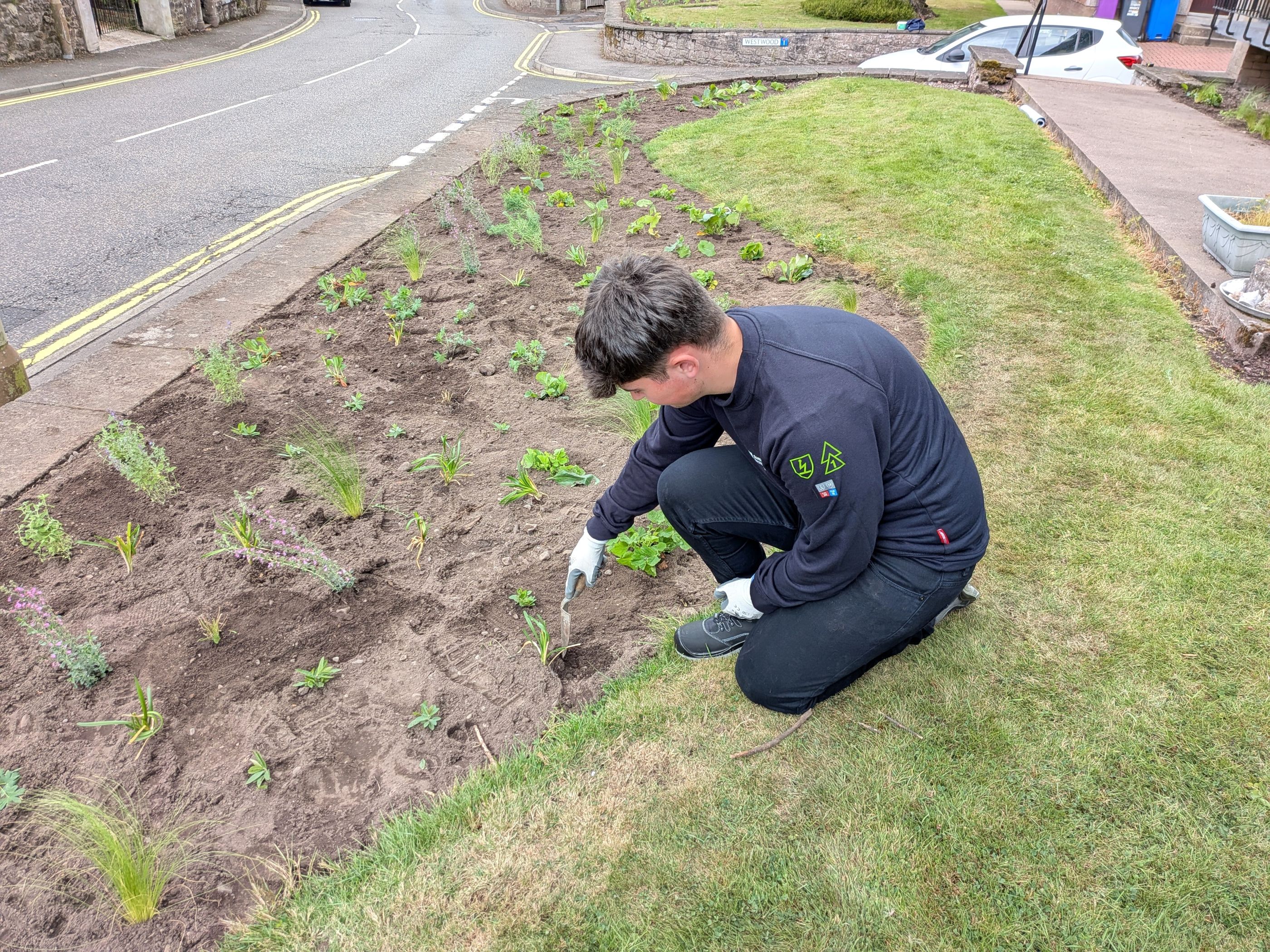 The new bee beds will help a range of pollinators to thrive