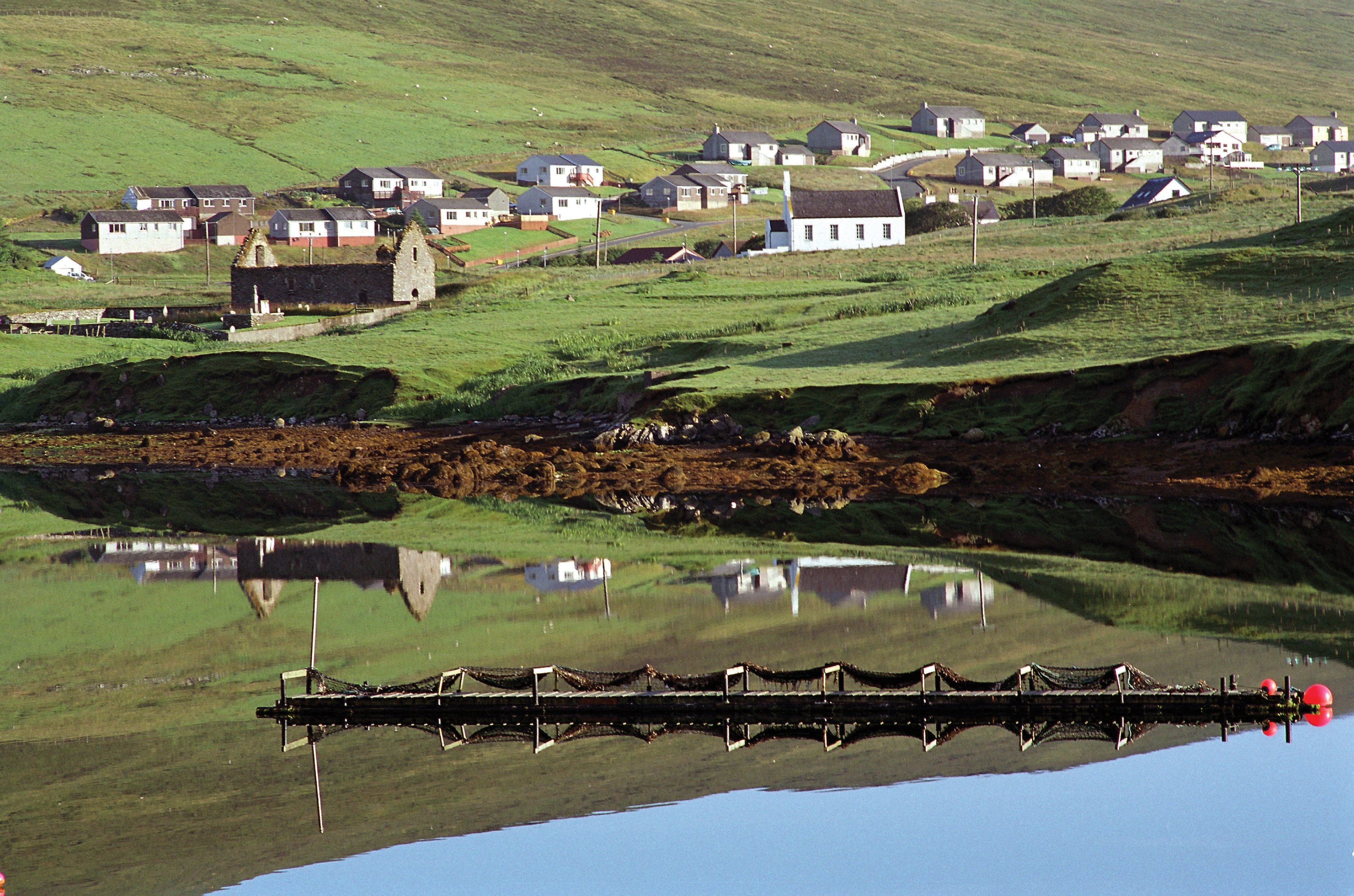 shetland.jpg