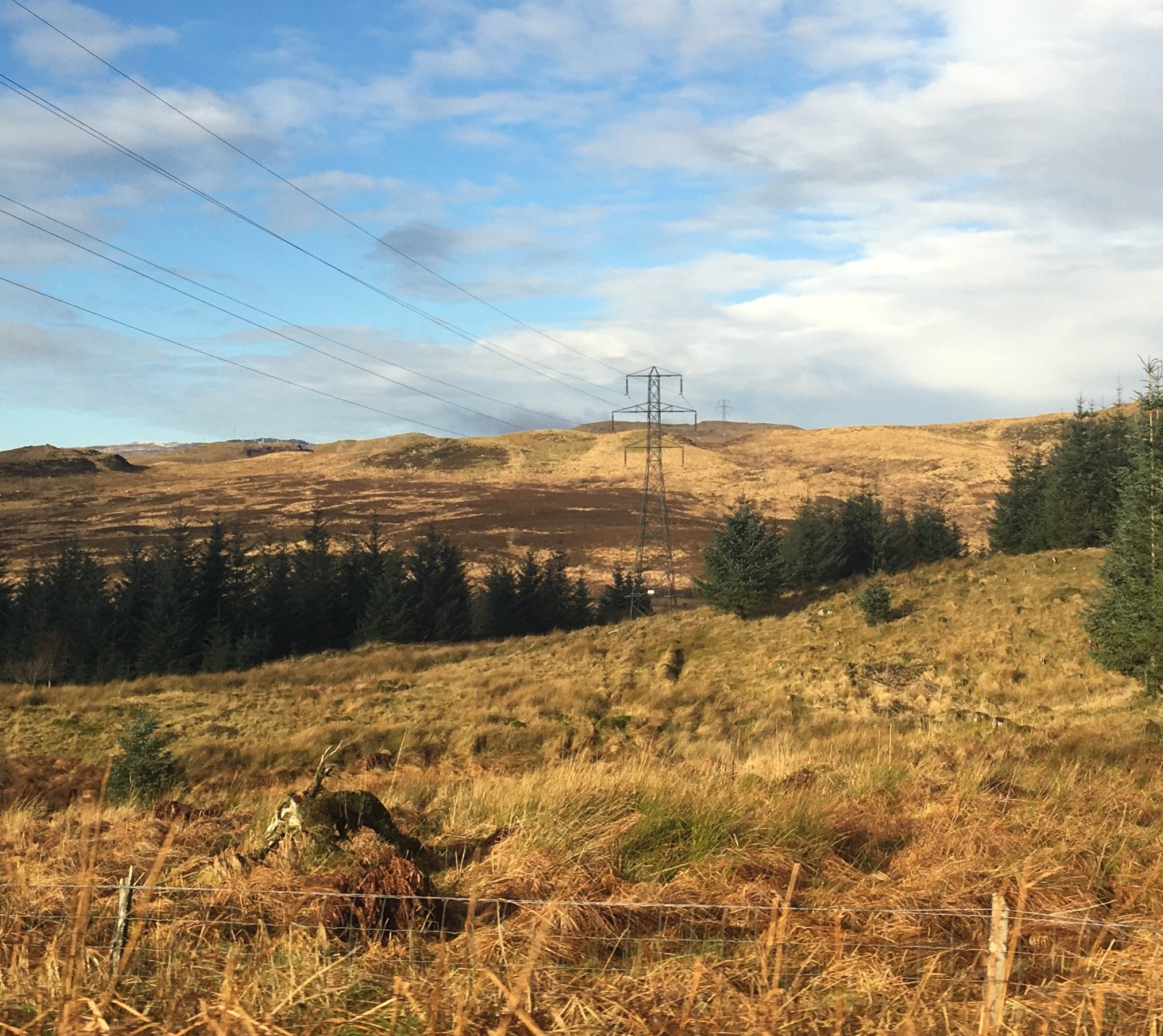 tower-kilchrenan-east.jpg