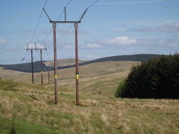 Trident Wood Pole.jpg