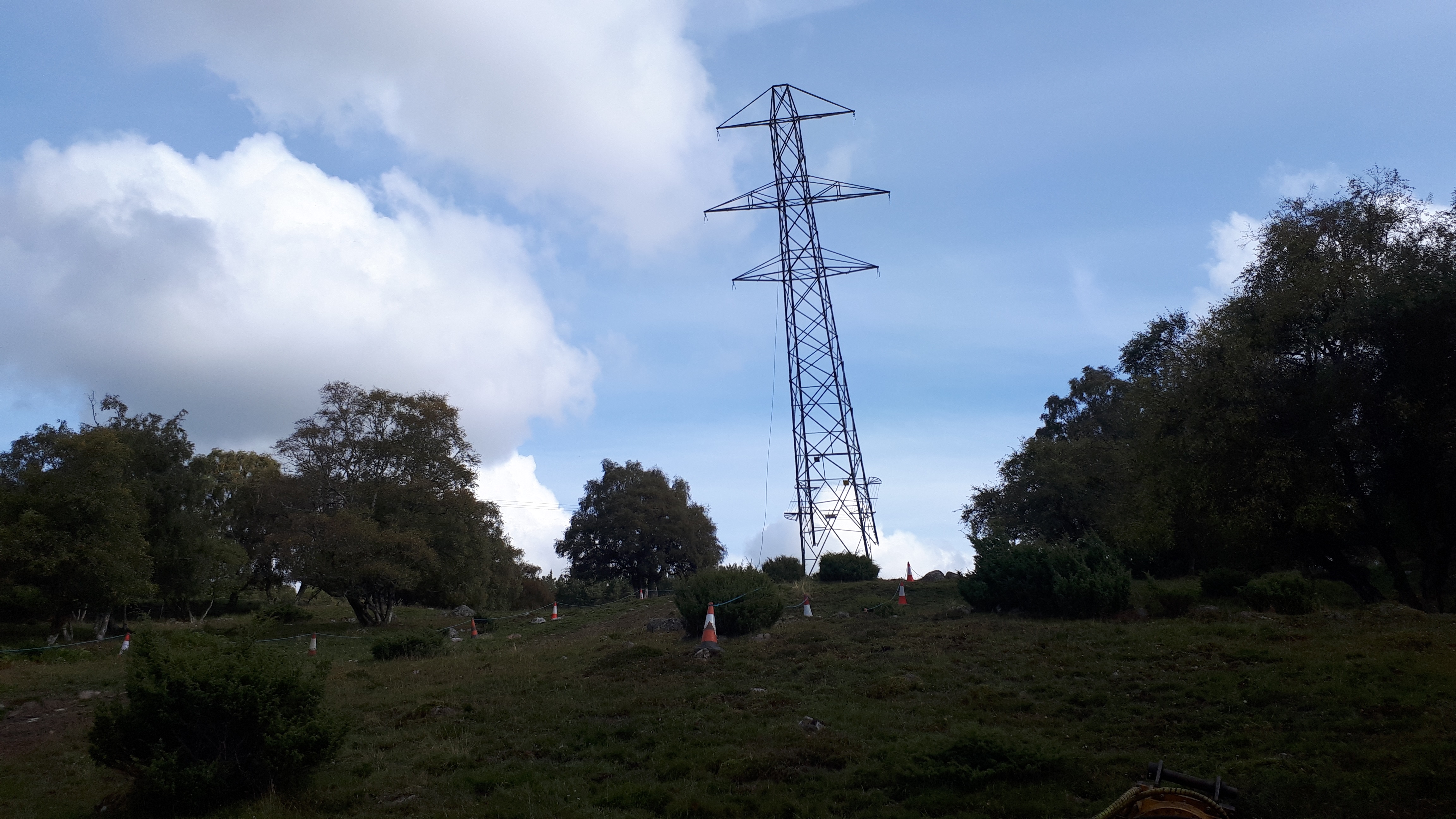 tower-felling.jpg