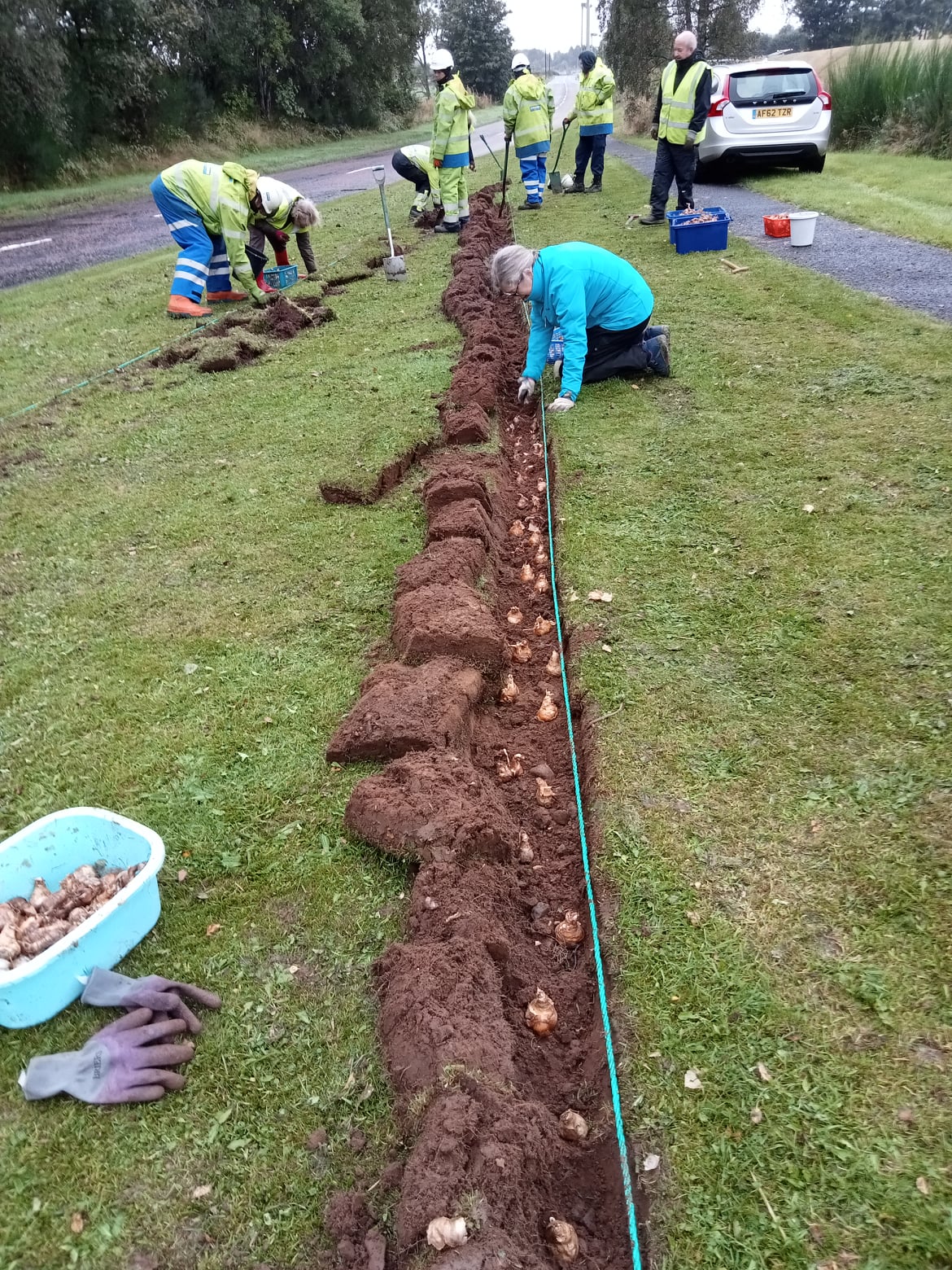 ssen-transmission_teams-helped-alyth-in-bloom-plant-over-3-000-bulbs.jpg